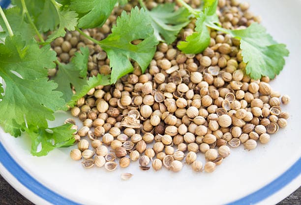 تصویر 1 از خرید و فروش تخم گشنیز ترد با شرایط فوق العاده